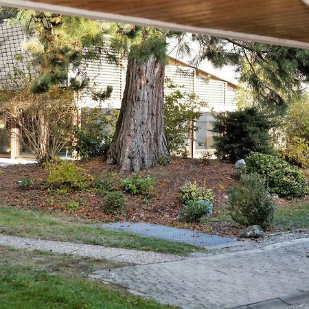 Ferienwohnung Konigsegg Ines Koch Reichenau Zewnętrze zdjęcie